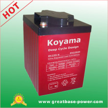 AGM Deep Cycle Batterie 225ah 6V